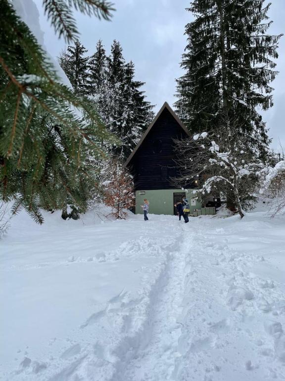 two people walking in the snow in front of a cabin at Romantic Forest House Tršće in Tršće