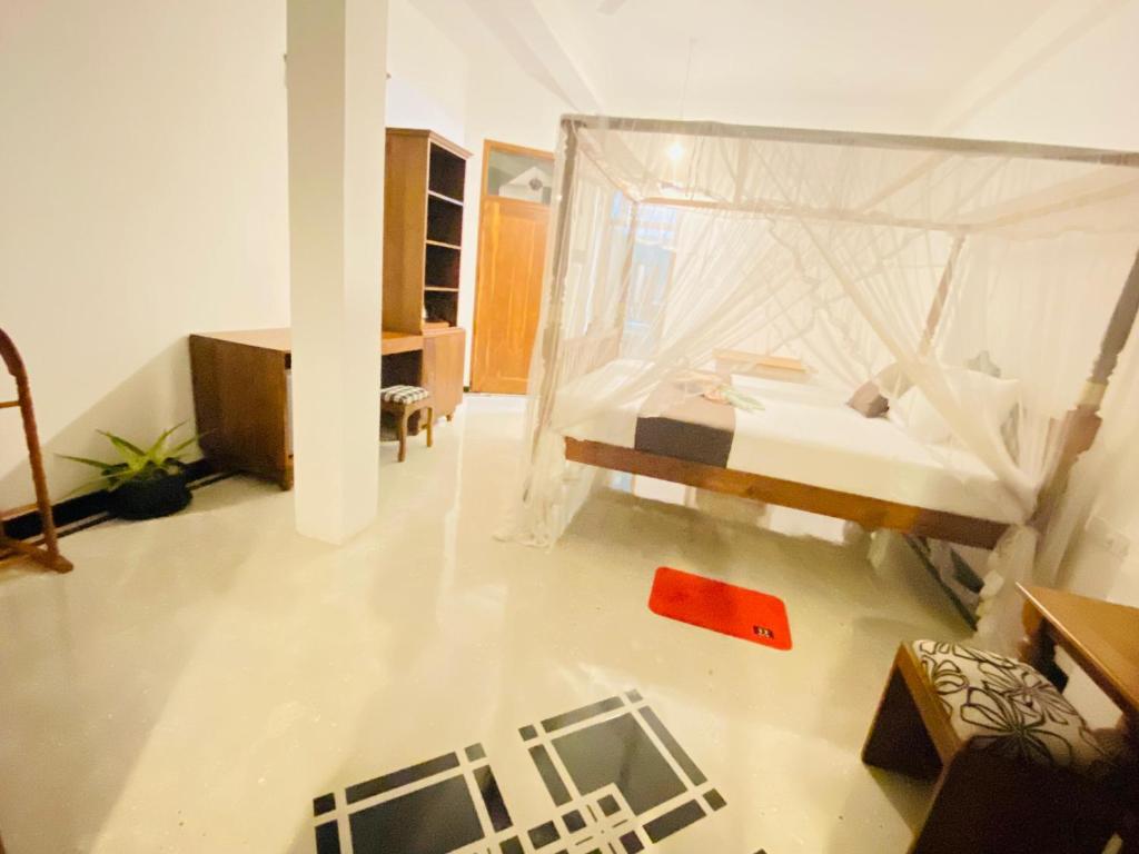 Lavender mirissa - 19