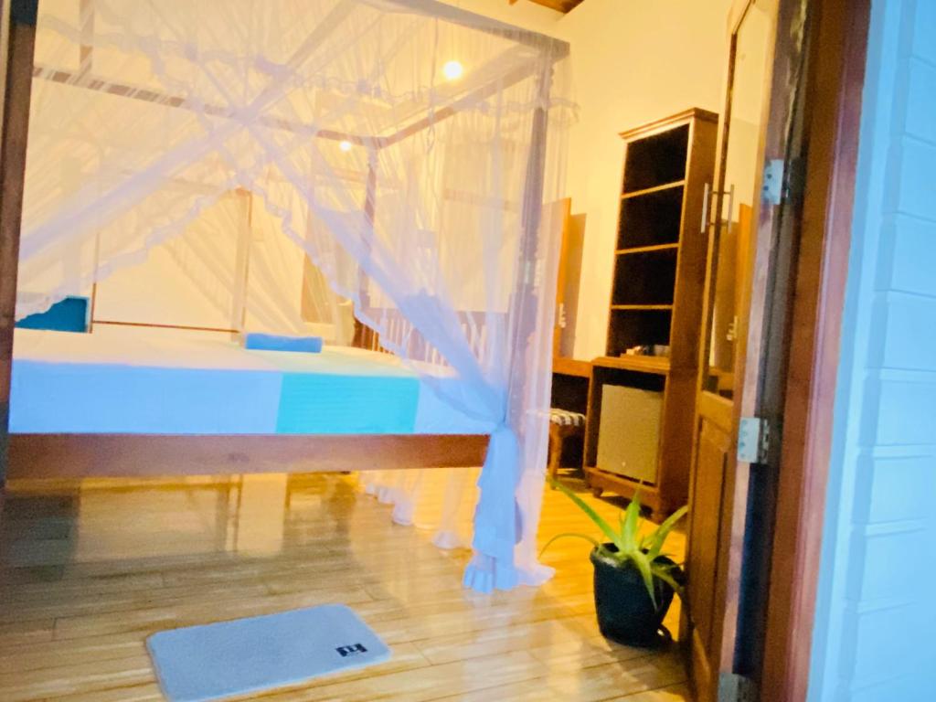 Lavender mirissa - 8