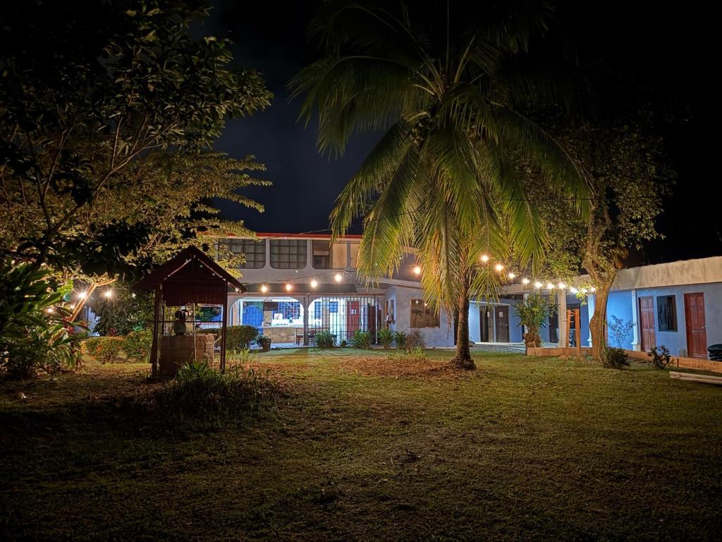 Zahrada ubytování Yubarta Lodge