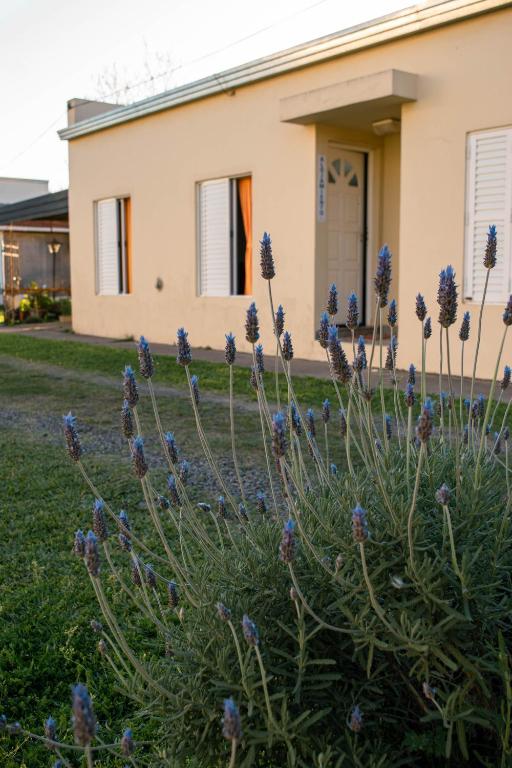 a house with purple flowers in front of it at LOS GURISES Villa Elisa in Villa Elisa