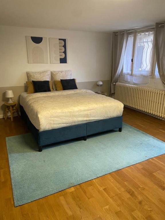 um quarto com uma cama grande e um tapete azul em Chambre avec SDB privé em Montpellier