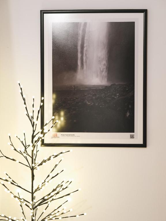 a picture hanging on a wall next to a plant at TripoliStay in Tripoli