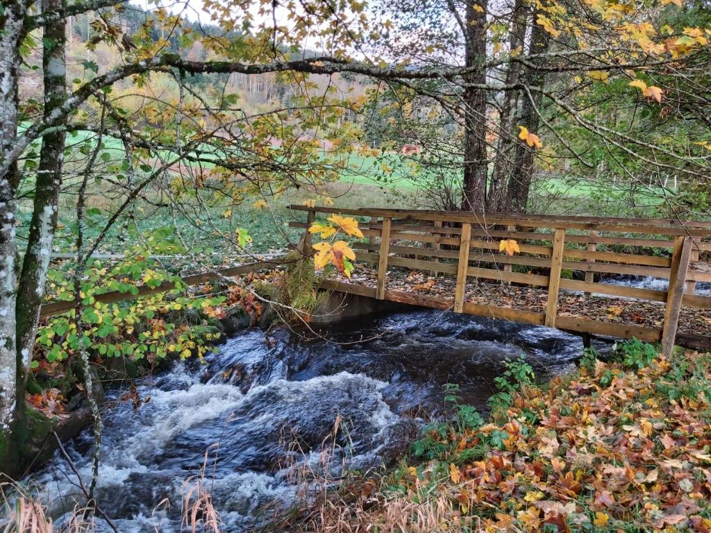 Φυσικό τοπίο κοντά σε αυτό το διαμέρισμα