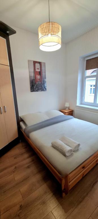 a bedroom with a large bed in a room at Old Town Apartment Bydgoszcz in Bydgoszcz
