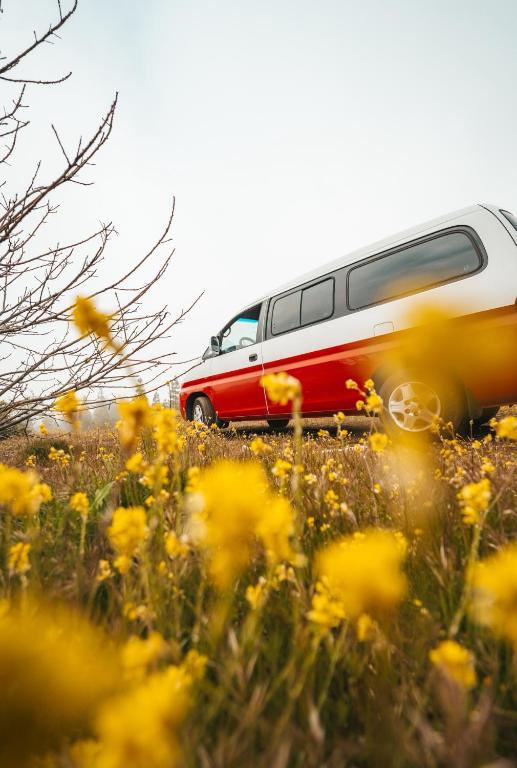 a red and white bus parked in a field of flowers at Mini Camper Van Hot Water, You Can Drive it in Telde