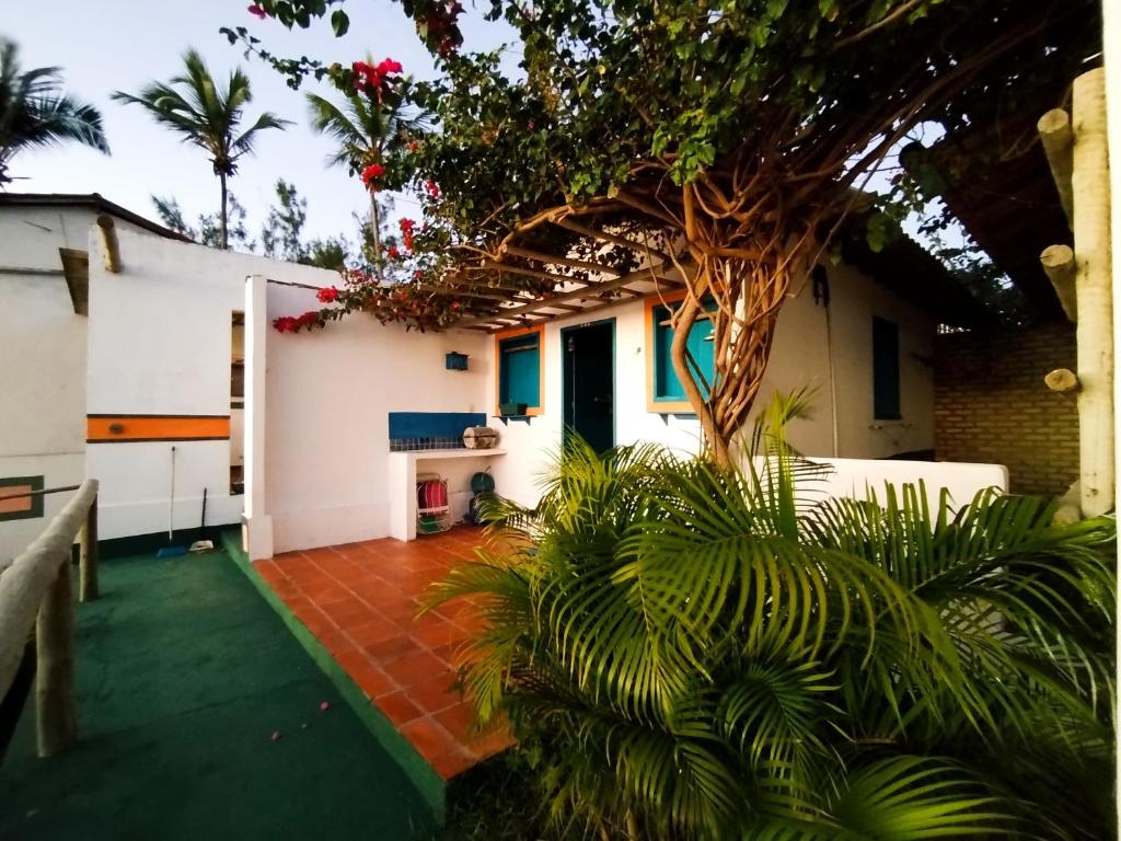 a courtyard of a house with a tree at Cabanas Caraúbas II - ótimo visual do mar in Maxaranguape