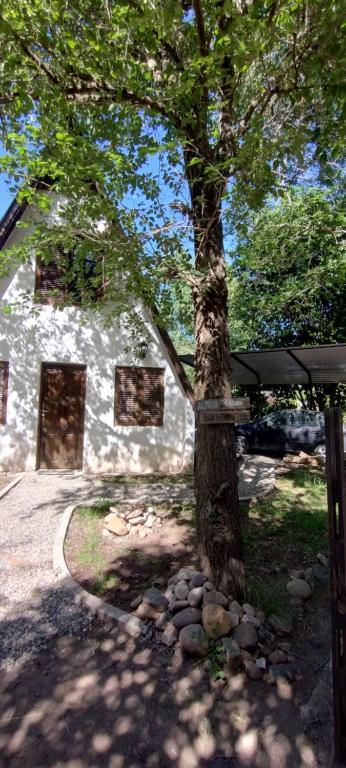 een boom voor een stenen huis bij Alpinas El Chusmo 2 in Villa Ciudad Parque