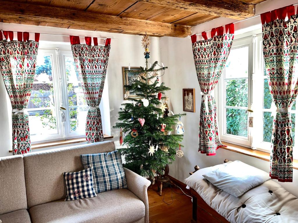 a living room with a christmas tree and a couch at La maison alsacienne in Strasbourg