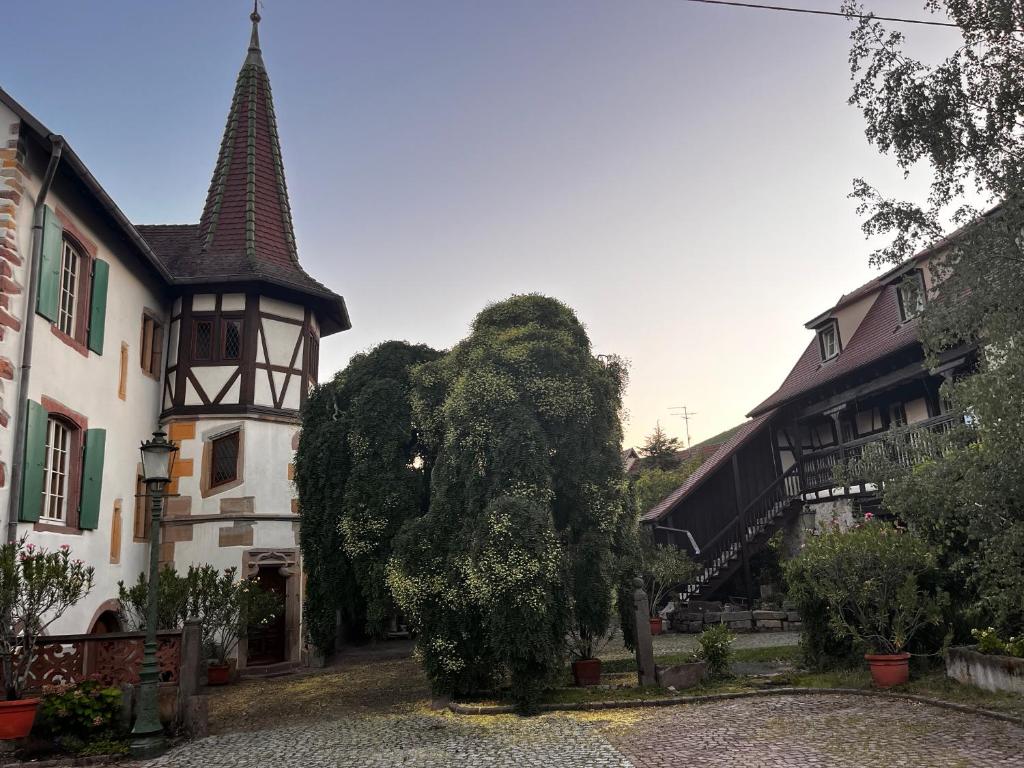 La cour du vigneron – photo 27