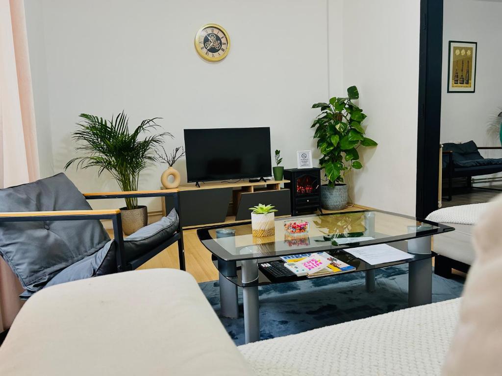a living room with a coffee table and a tv at Black and Ginger Residence in Zrenjanin