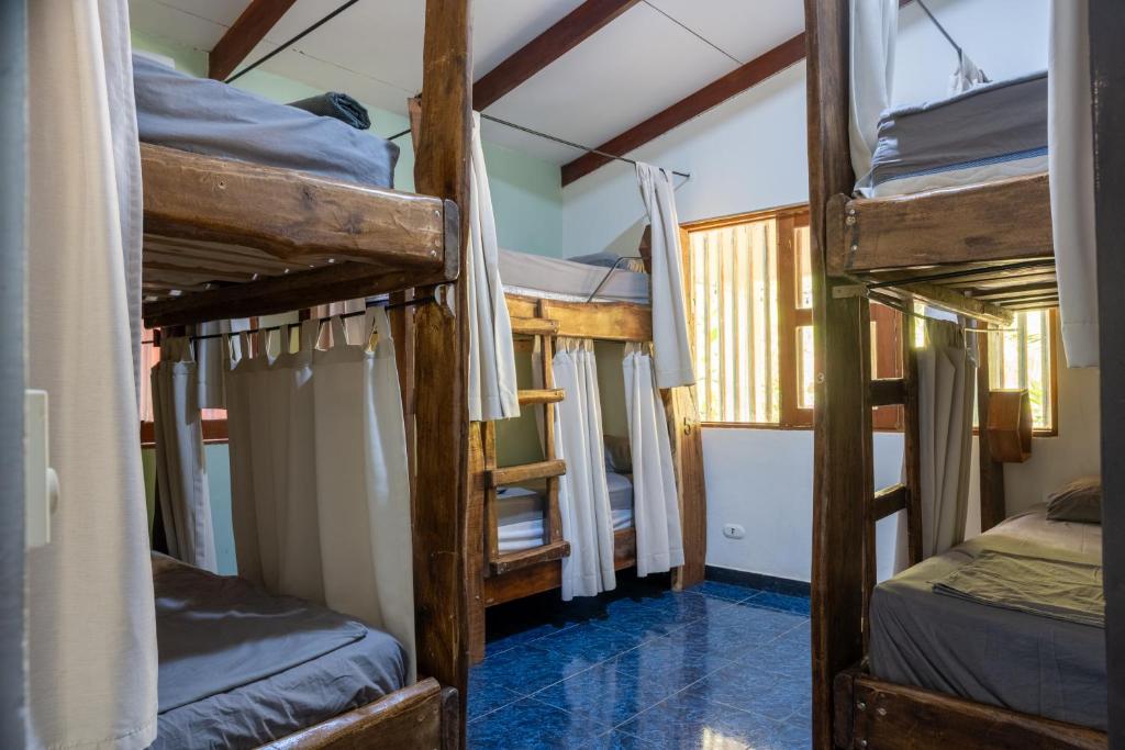 een kamer met 4 stapelbedden in een huis bij Tropical Camas Surf House in Pochotal