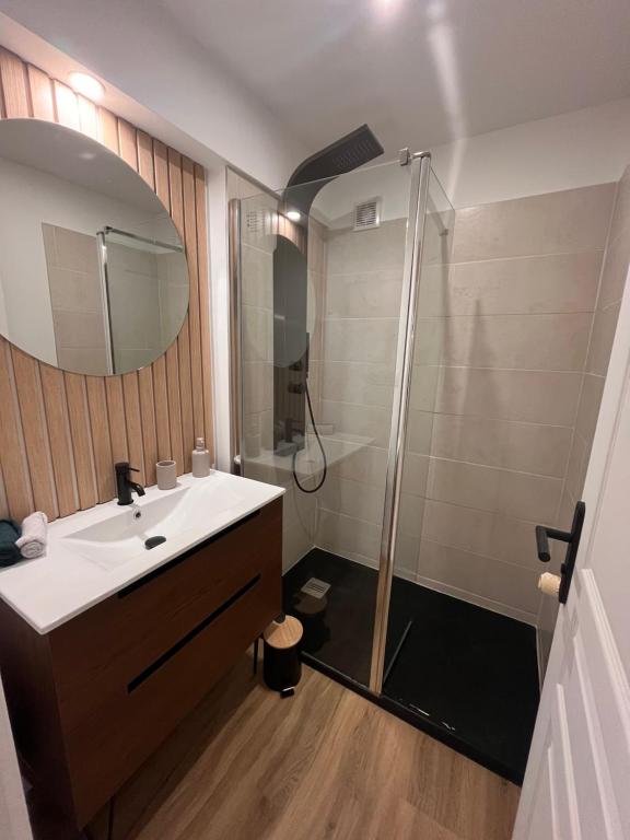 ein Badezimmer mit Waschbecken und Dusche in der Unterkunft Logement autonome 2 a 4 personnes in Poitiers