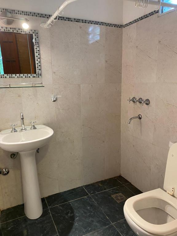 a bathroom with a sink and a toilet at La Ribera Aparts in Santa Rosa de Calamuchita