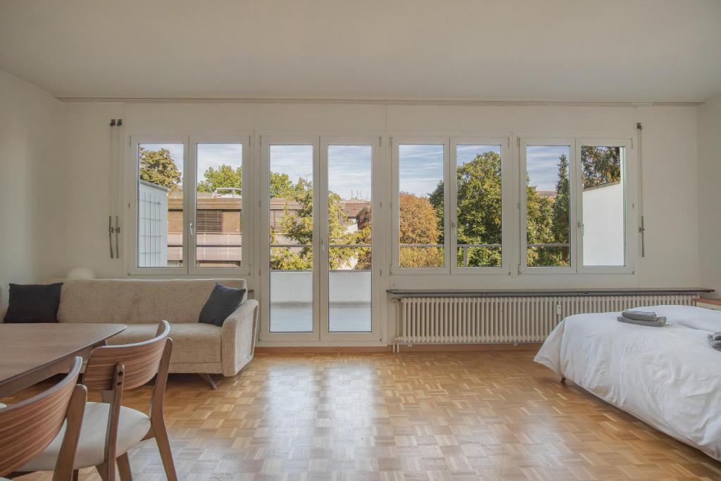 Top floor apartment with two terraces and BaselCard