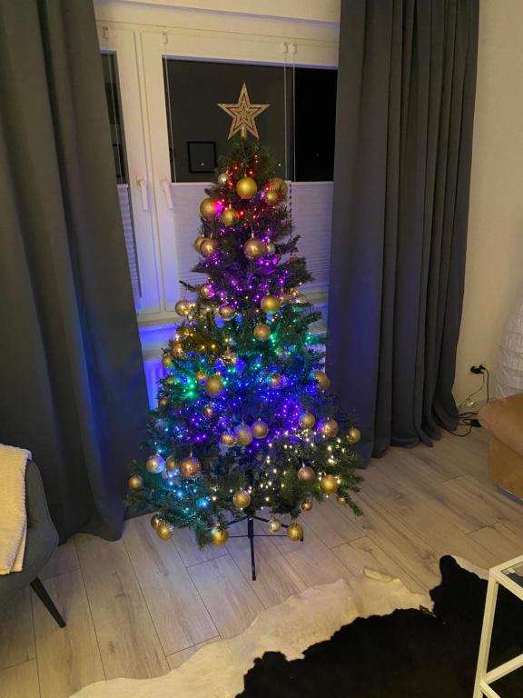 Fotografie z fotogalerie ubytování Harzperle 1 II zentrales 3 Zi Apartment II Familien v destinaci Bad Harzburg