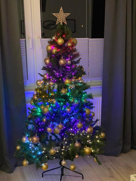 Fotografie z fotogalerie ubytování Harzperle 3 II zentrales 3 Zi Apartment II Familien v destinaci Bad Harzburg