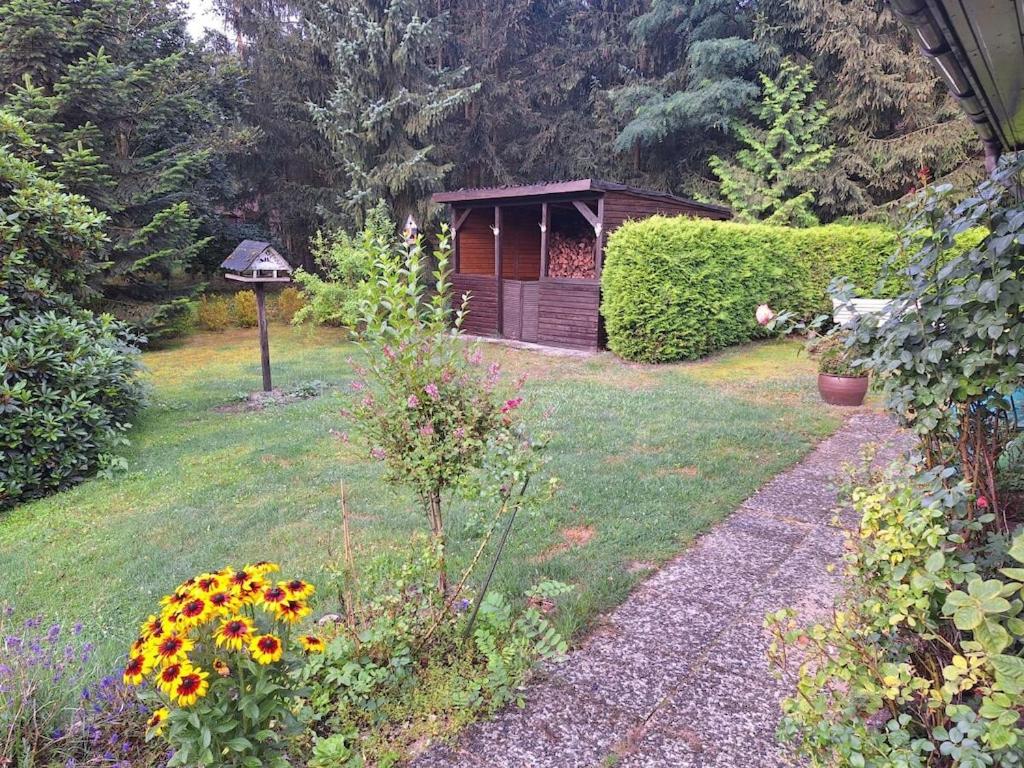 Un jardín con una pequeña cabaña al fondo. en Holiday home Heide, en Bad Bodenteich