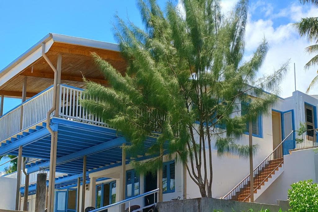 a house with a palm tree in front of it at The Tree House Port Vila in Port Vila
