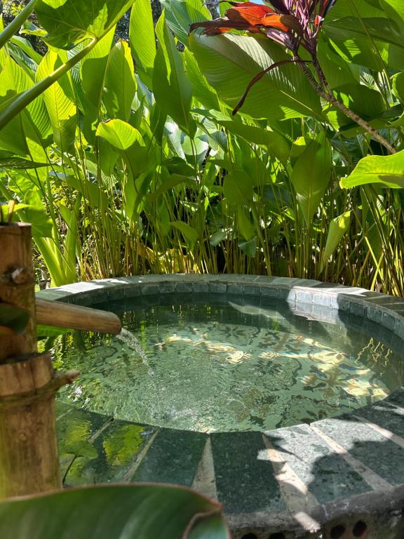 Peaceful refuge homestay - 18