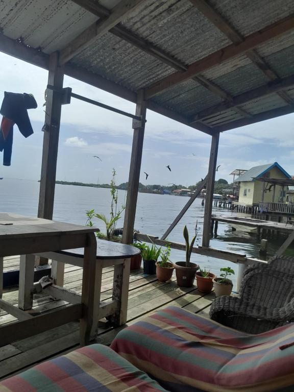 博卡斯德尔托罗casa azul的一个带桌椅的门廊,享有水景