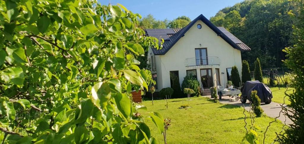 a white house with a green yard in front of it at Casa ANDRADA in Horezu