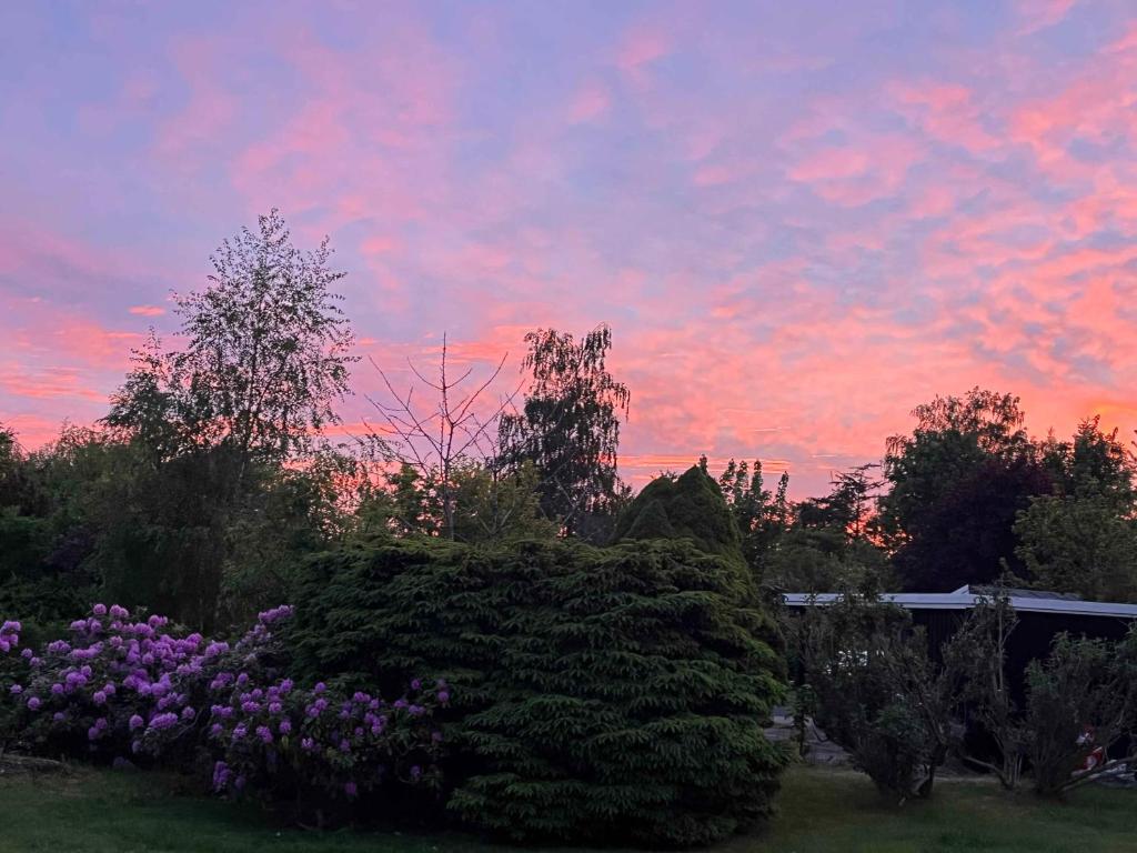 a sunset in a garden with flowers and trees at Lovely Holiday Home With Annex And Garden in Dronningmølle