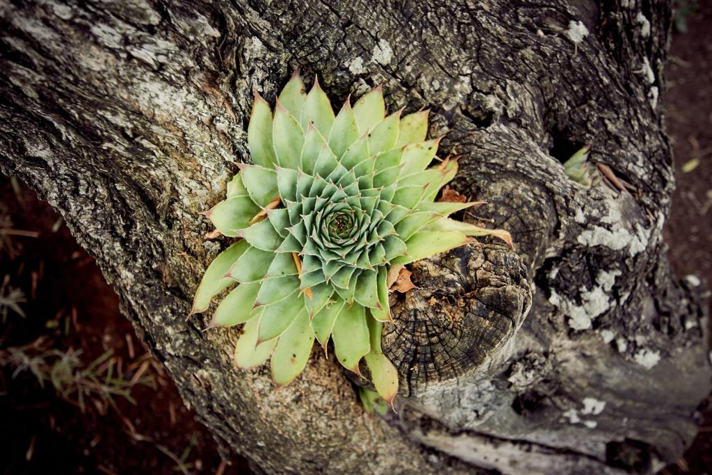Fotografie z fotogalerie ubytování Kuća Gašpar v destinaci Dubrava