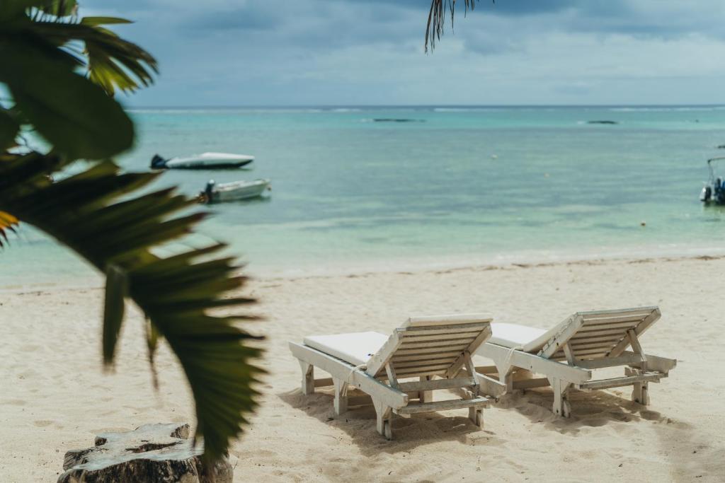 罗驰诺尔Villa MAEVA is your perfect beachfront escape的海滩上的两张躺椅