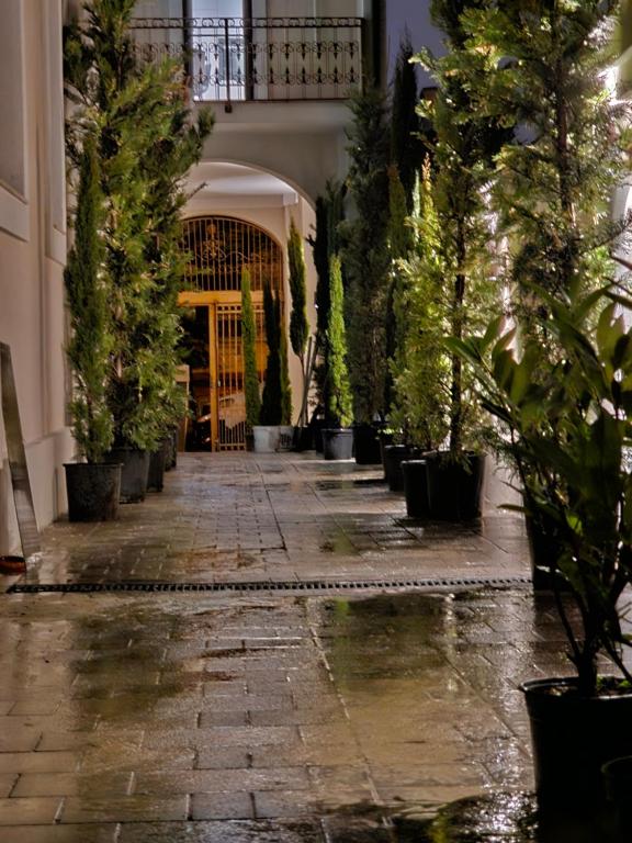 a row of potted plants in front of a building at ISHotel in Craiova