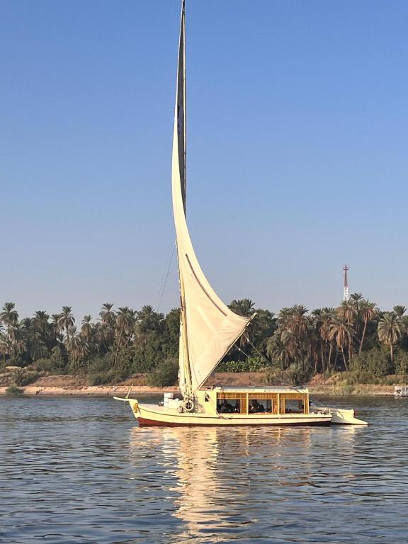a boat with a large sail on the water at Nile SE Felucca nile cruise private tour in Naj‘ al ‘Amrāb