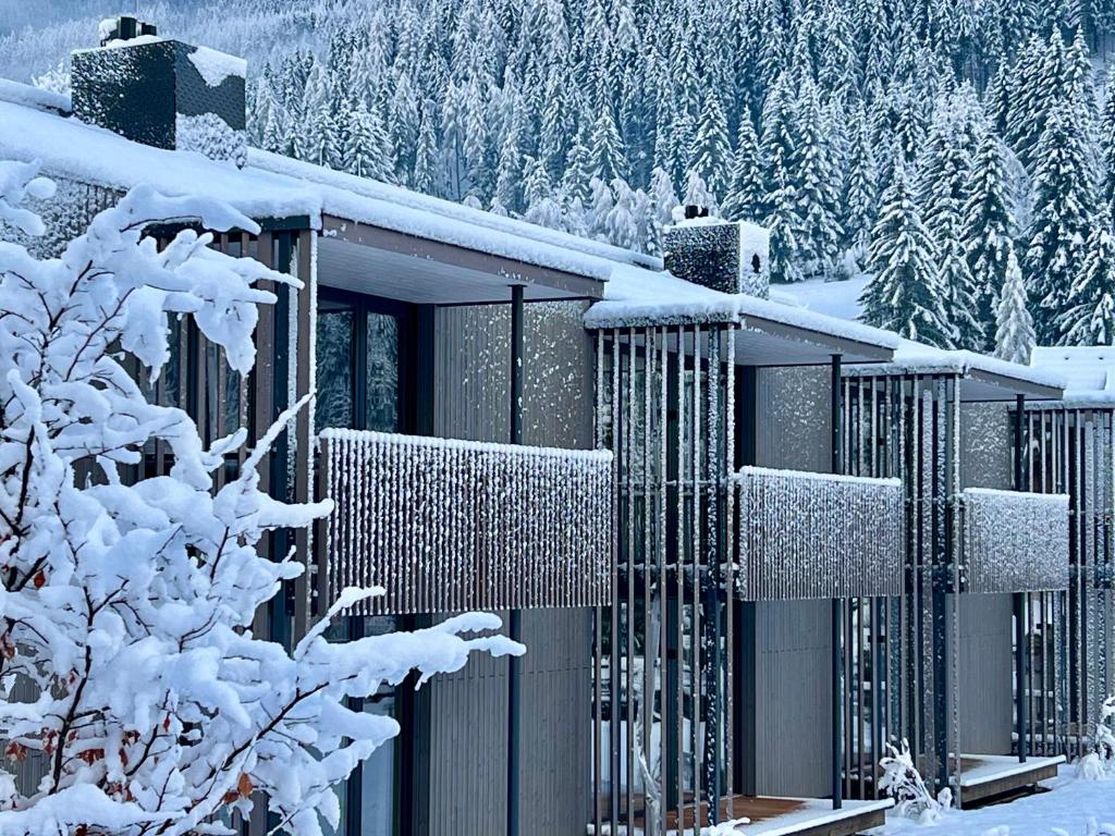 巴德小基希海姆Bio Design Appartements DAS GRAUE SCHAF - Kärnten Card im Sommer inklusive的一座被雪覆盖的房屋,有树木