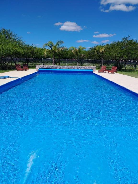 a large swimming pool with blue water at Cabañas del Viñedo in La Paz