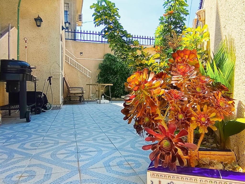 Zahrada ubytování El Caprichito a 200 metros de la playa!