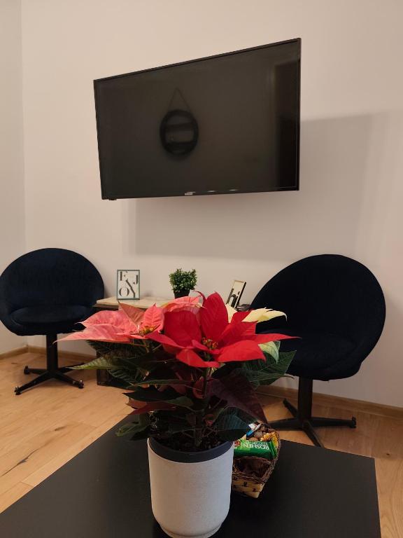 TV a/nebo společenská místnost v ubytování Stylish apartment, top center with private Sauna