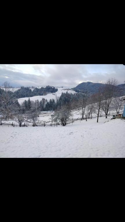 een met sneeuw bedekt veld met bomen en een veld met een veld bij Оселя тихої долини in Chërnaya Rechka