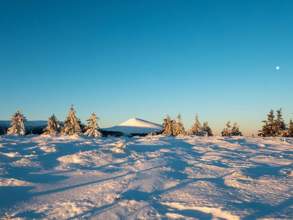 un pendio coperto di neve con alberi e una montagna di Appartement Dans un village en Auvergne sancy a Égliseneuve-dʼEntraigues