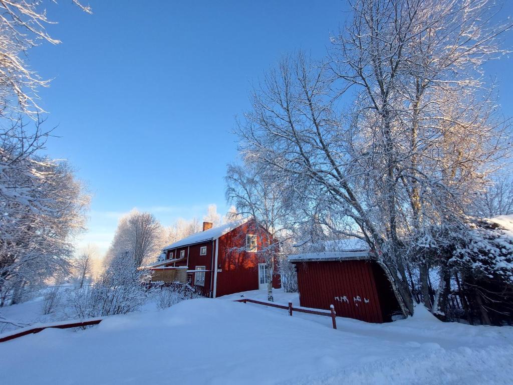 un granero rojo cubierto de nieve junto a un árbol en Per-Sims, en Ljusdal