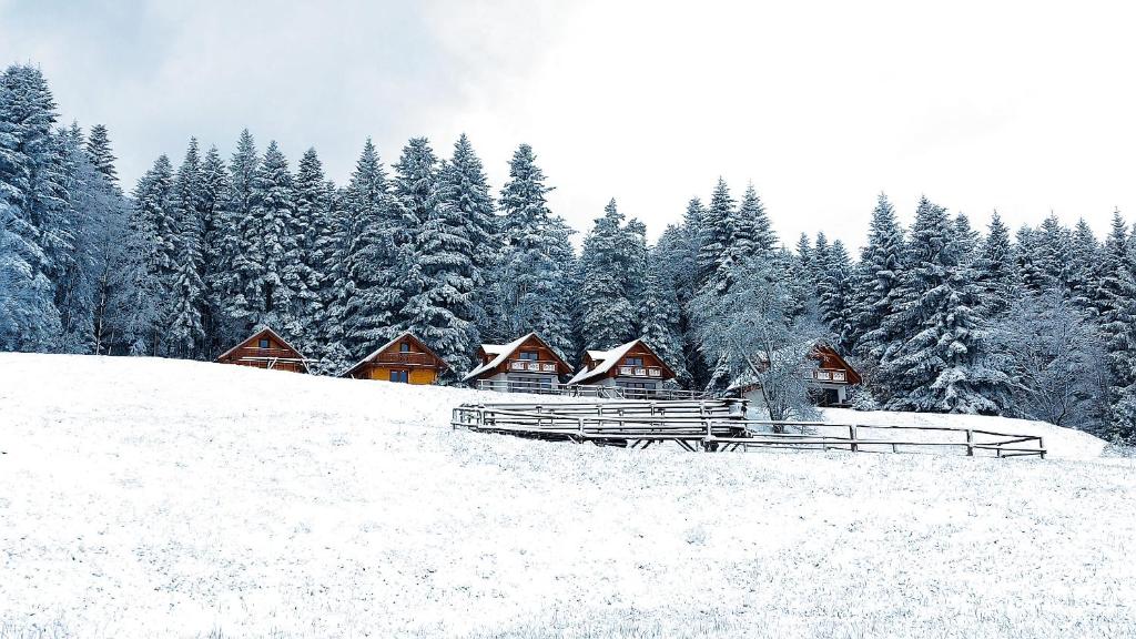 una foresta innevata con case su una collina di Domki w Kasinie a Kasina Wielka