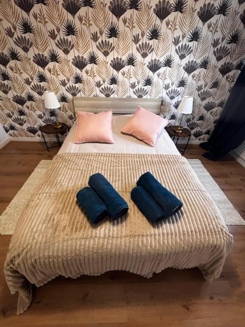 Cosy F2 Mulhouse Centre – photo 2