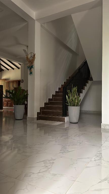a lobby with a staircase and two potted plants at Liya 