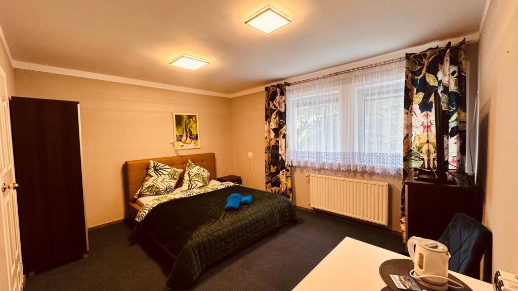 隆代克-兹德鲁伊Villa Veronika的一间带床和窗户的小卧室