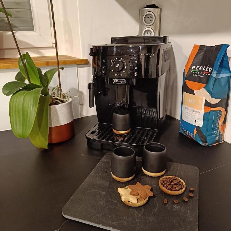 Maison chaleureuse en Alsace – photo 22