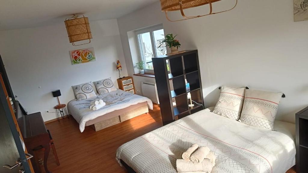 Maison chaleureuse en Alsace – photo 2