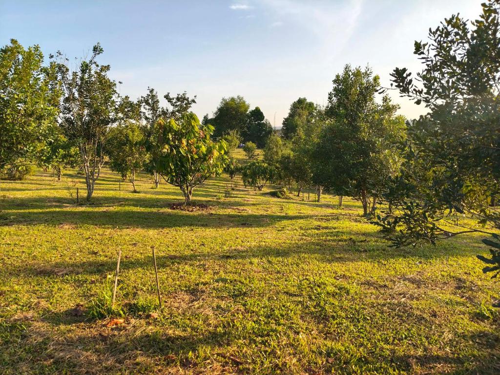 En have udenfor RATTHANATHON Farm