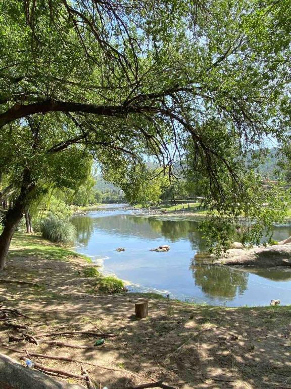 a river with some animals swimming in the water at Casa Raíz 2 habitaciones para 4 personas frente al río in Santa Rosa de Calamuchita