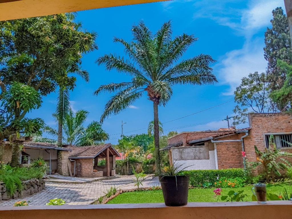 a palm tree in front of a house at Romanesca Motel in Rubavu