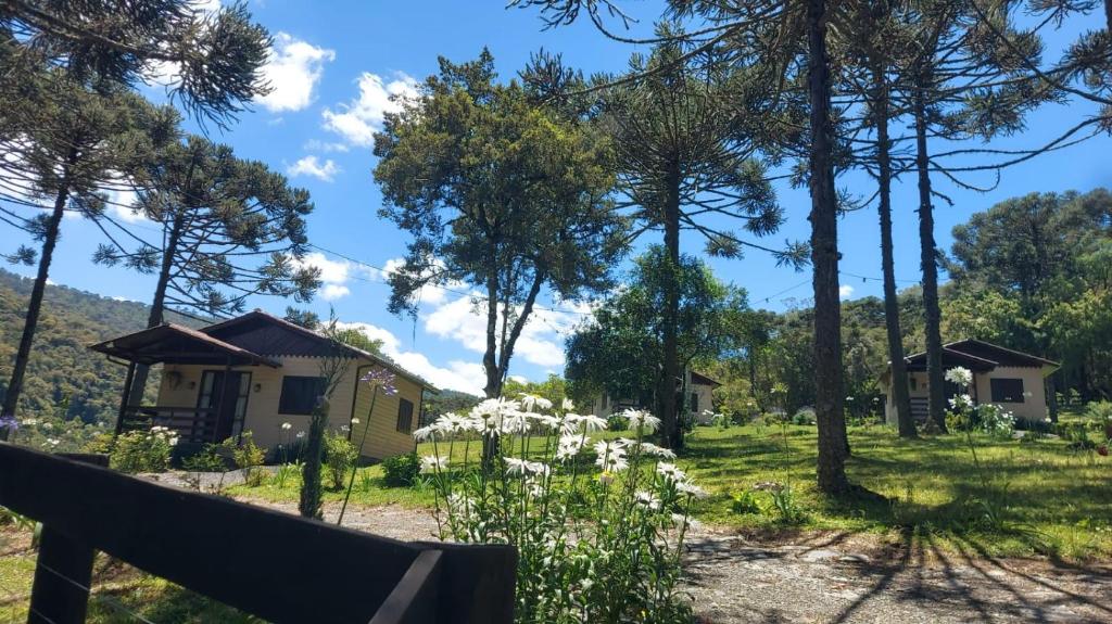 Naturlandskabet i nærheden af feriehuset