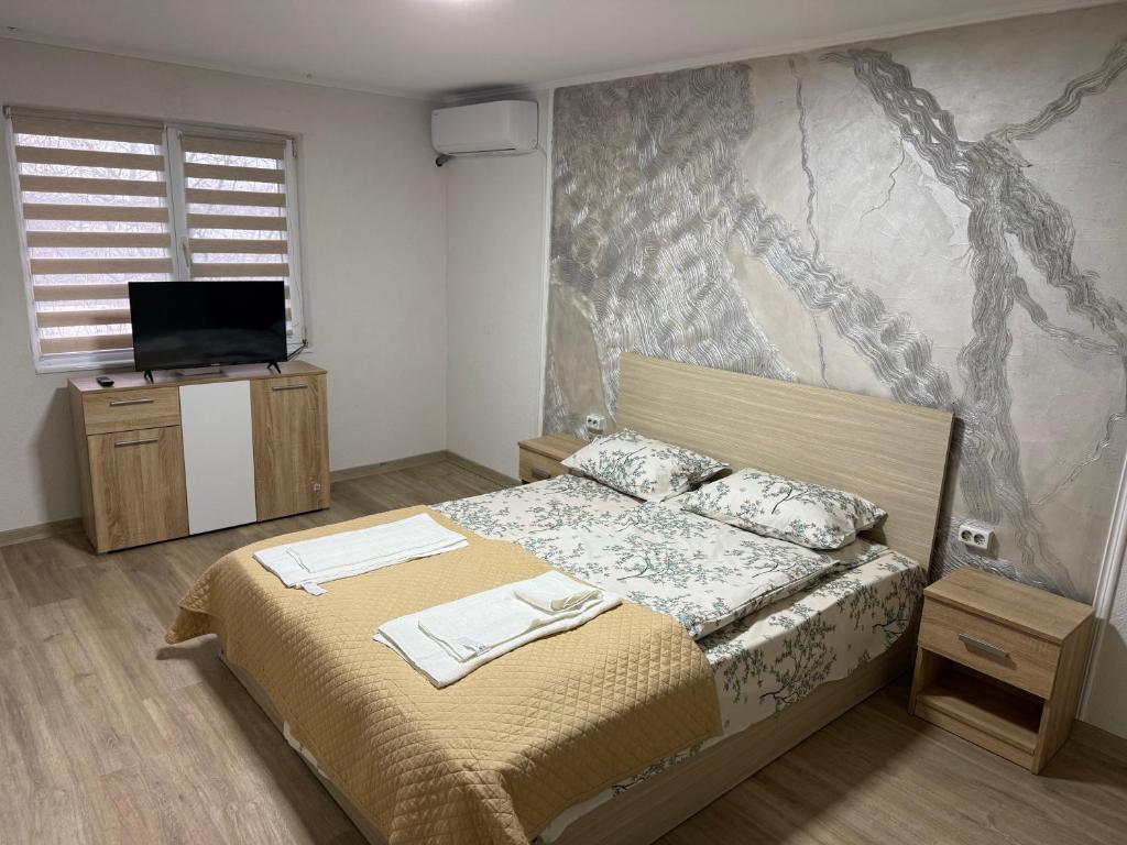 布勒伊拉Casa Andrei的一间卧室，墙上有一张床和一台电视