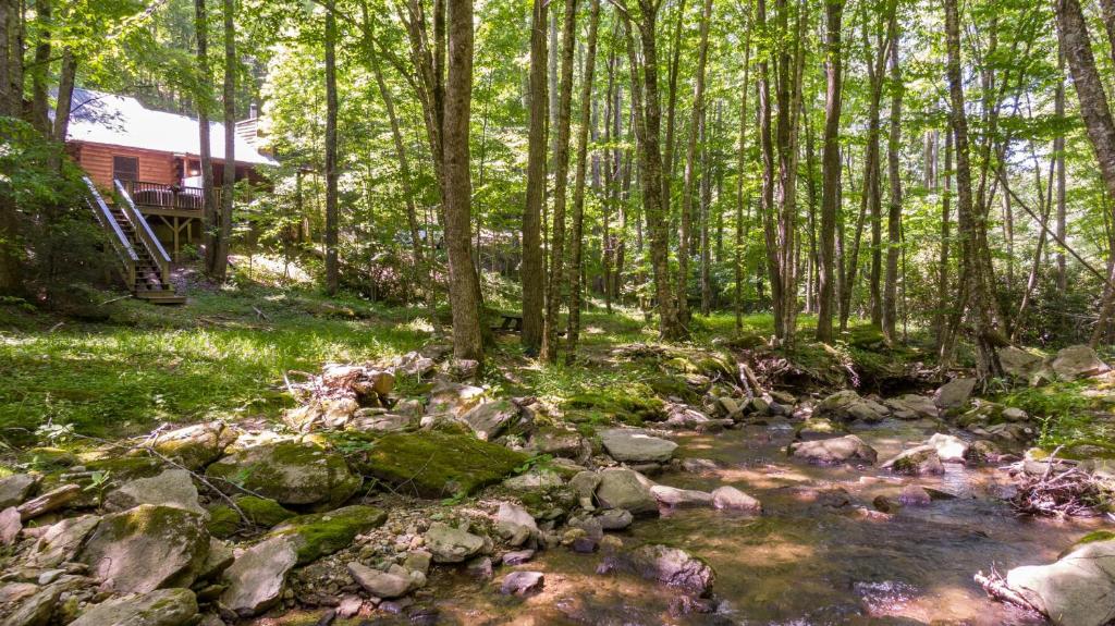 a stream in the woods next to a house at Trillium in Banner Elk